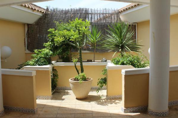Casa Del Mar Διαμέρισμα Λα Μάνγκα Δελ Μαρ Μενόρ Εξωτερικό φωτογραφία